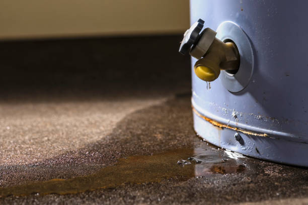 Best 24/7 water damage repair  in Atlanta, TX
