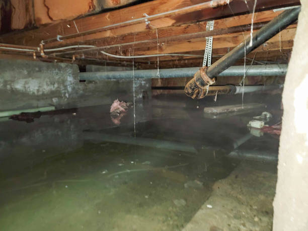 Best Water damage restoration process  in Atlanta, TX