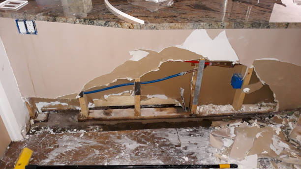 Best Professional water damage repair  in Atlanta, TX