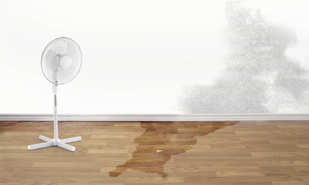 Best Local water damage restoration  in Atlanta, TX